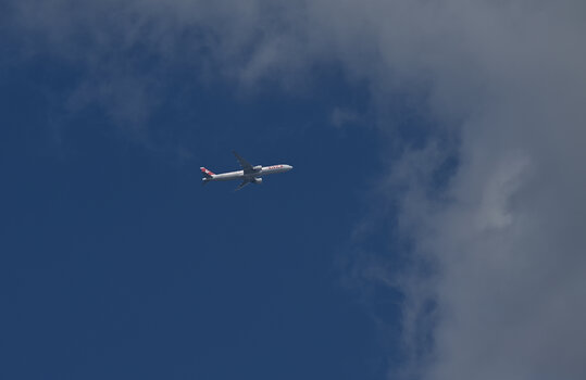 DSC_6061.f.jpg