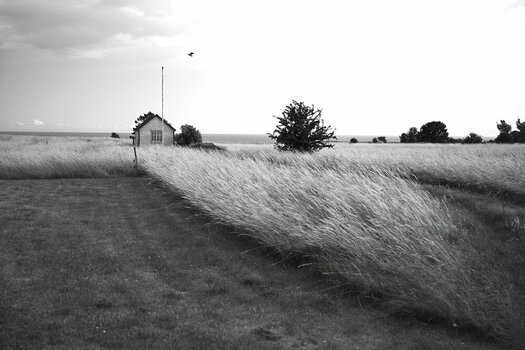ZGF_4652_01.JPG