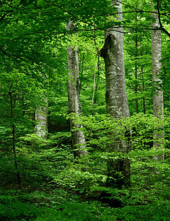 ZGF_2878_01_01.JPG