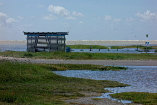 DSC08480_DxO.jpg