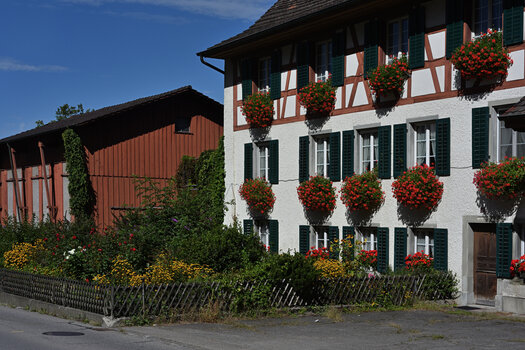 DSC_6101.f.jpg