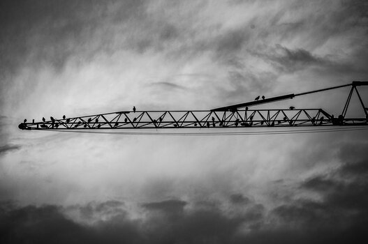 comp__DSC1684.jpg