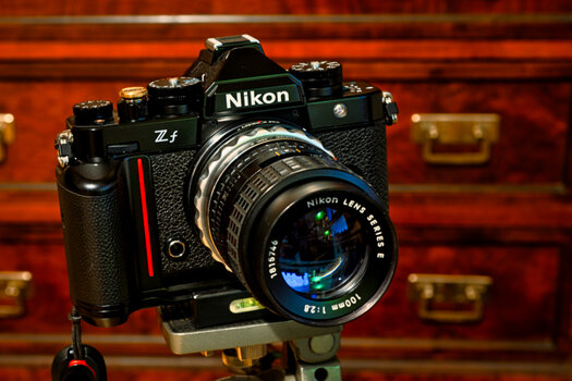 DSC_6795 (2).jpg
