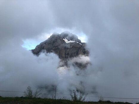 IMG_1476.jpeg