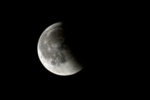 NZ8_9534.JPG