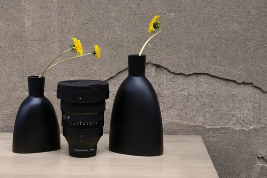 k_065_Sigma_135mm_F1.4_DG_A_E-mount_Product_Ara Coutts.jpg