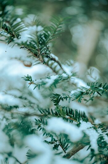 k_039_Sigma_35mm_F1.2_DG_II_A_L-Mount_ImpressionPhoto_Yuichiro Fujishiro.jpg