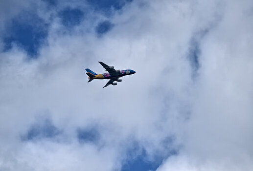 DSC_6192.f.jpg DSC_6192.f.jpg