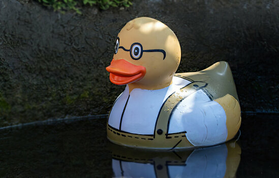 ente.jpg