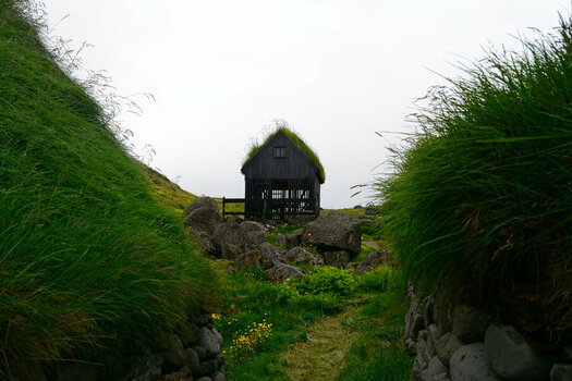 DSC_4478_DxO.jpg