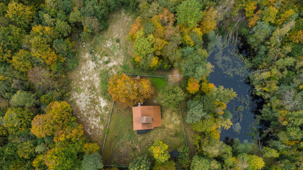 DJI12875.jpg