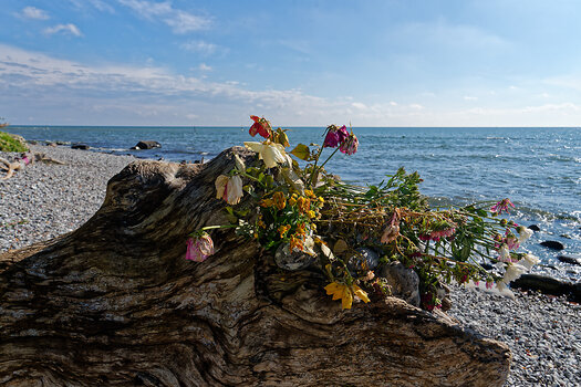 750_3980_DxO.jpg
