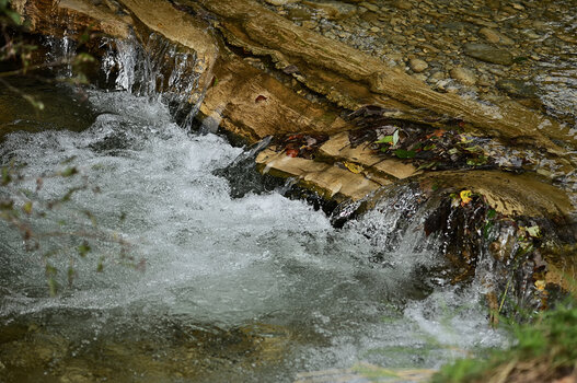 DSC_6280.2.jpg