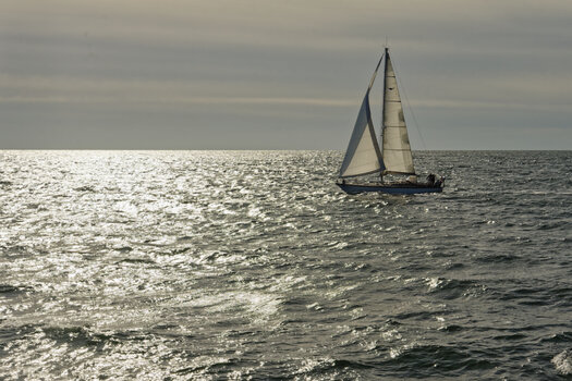 750_4072_DxO.jpg