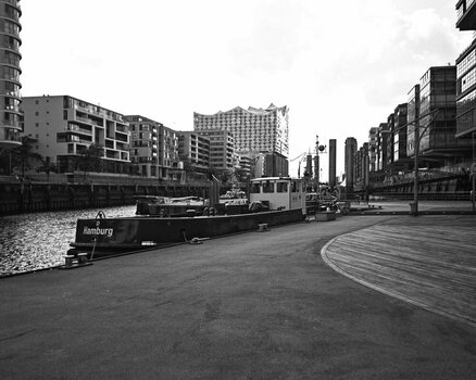 _DSC6954BI010625.jpg