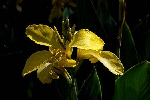 DSC_0106-DxO_DeepPRIME 3_DxO.jpg