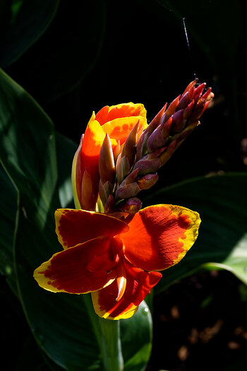 DSC_0107-DxO_DeepPRIME 3_DxO.jpg