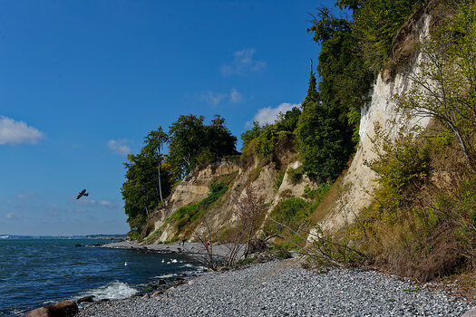 750_3964_DxO.jpg
