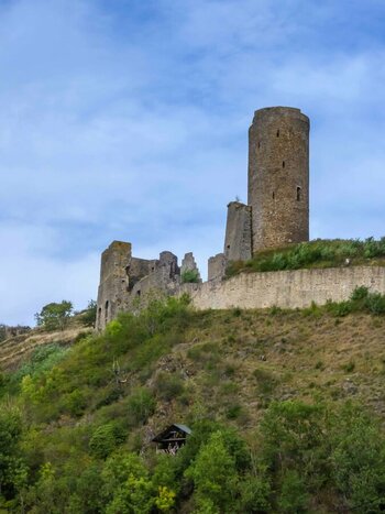 Burg-in-Monreal.jpg
