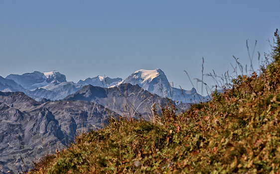 DSC_6393.f.jpg