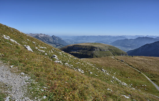 DSC_6403.f.2.jpg