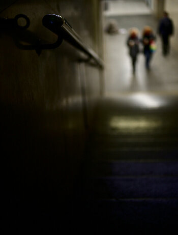 HSC_7377_01.JPG