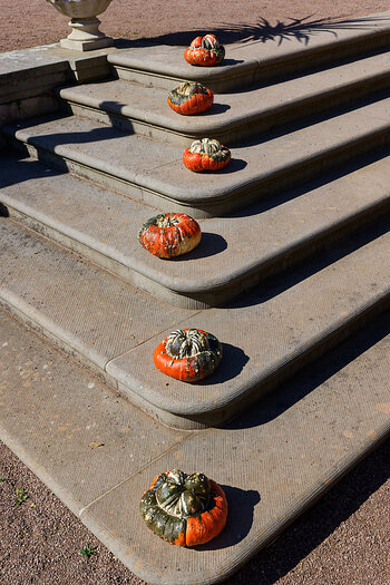 DSC_0134_DxO.jpg
