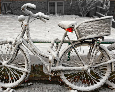erster Schnee.jpg