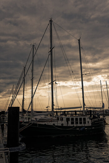 750_3754_DxO_1.jpg