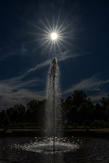 DSC_1395-DxO_DeepPRIME-XD2s_XD-neu2.jpg