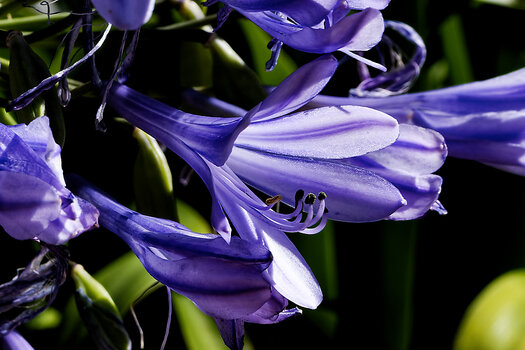 DSC_0126-DxO_DeepPRIME 3_DxO.jpg