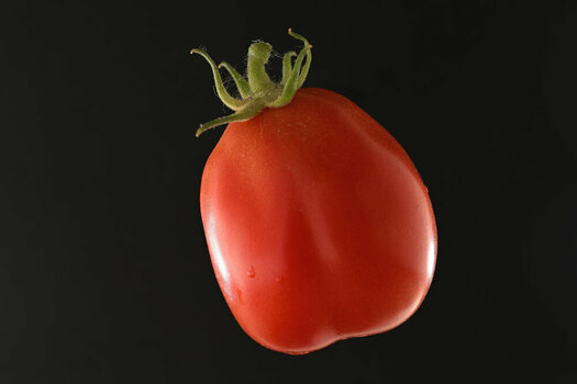 Tomate.JPG