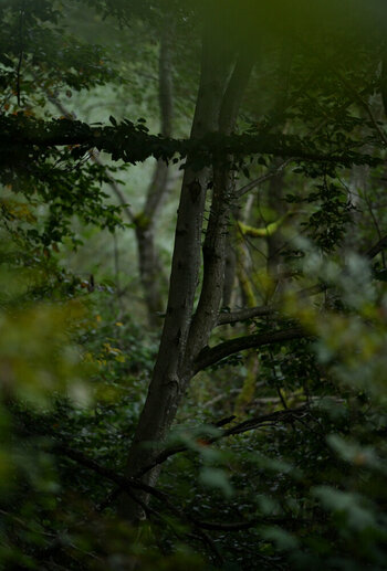 ZGF_6913_01.JPG