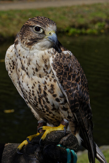 750_4133_DxO.jpg