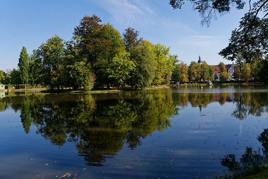 750_4165_DxO.jpg