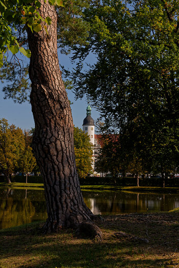 750_4168_DxO.jpg