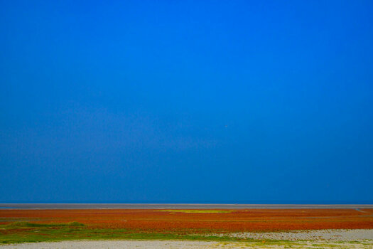 Z8A_0919.jpg Z8A_0919.jpg