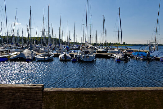 DSC_0194_DxO.jpg