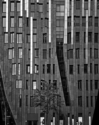 _DSC6890BI010625.jpg