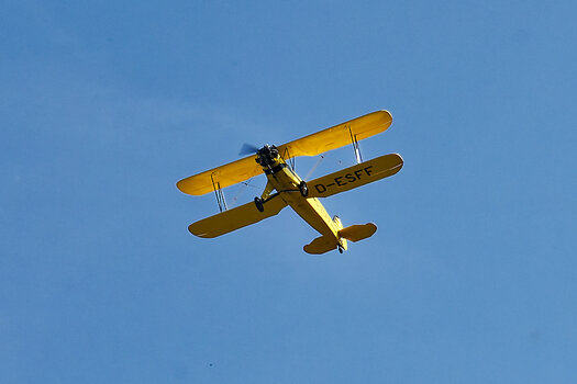 750_4183-DxO_DeepPRIME 3_DxO.jpg