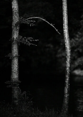 ZGF_5956_01.JPG
