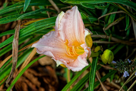 DSC_3368_DxO.jpg