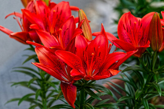 DSC_1257_DxO.jpg