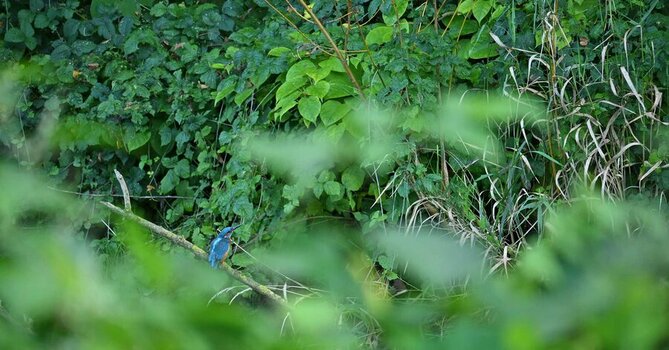 DSC_0142-2-3.jpg