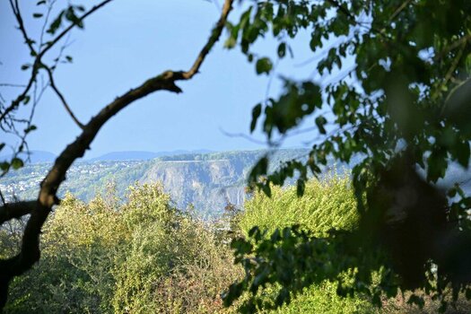 DSC_0119-2-3.jpg