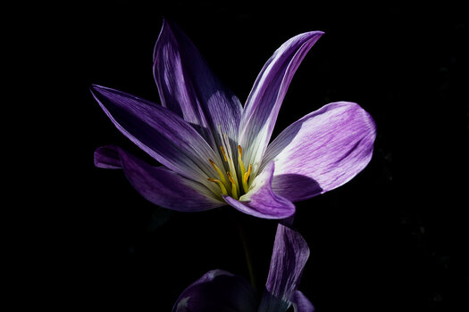 DSC_0238_DxO.jpg