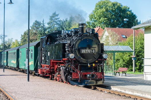 _7048700.jpg