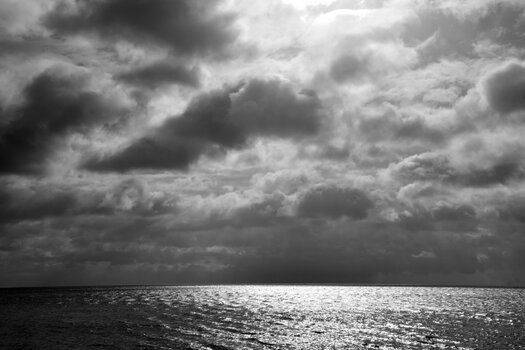 _D753820_01.JPG