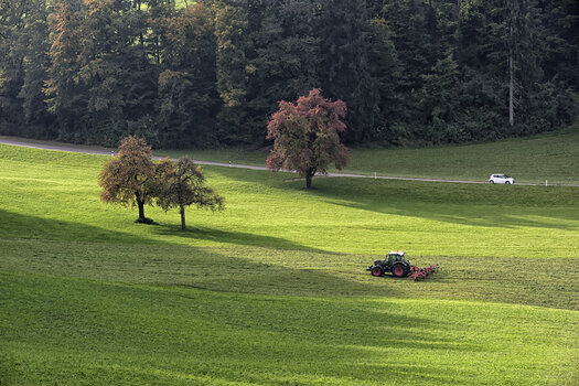 DSC_6520.f.jpg
