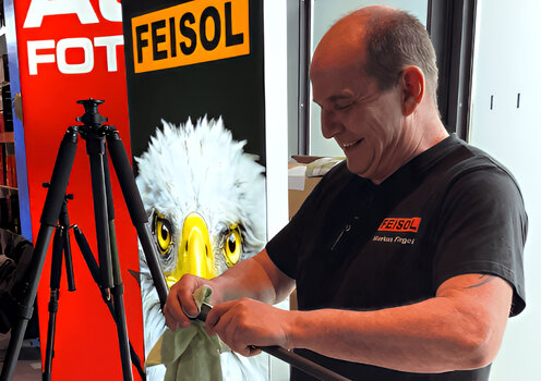 Feisol.jpg